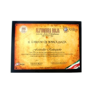 alfombra roja para la musica colombiana 2011